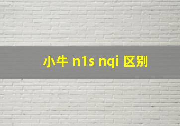 小牛 n1s nqi 区别